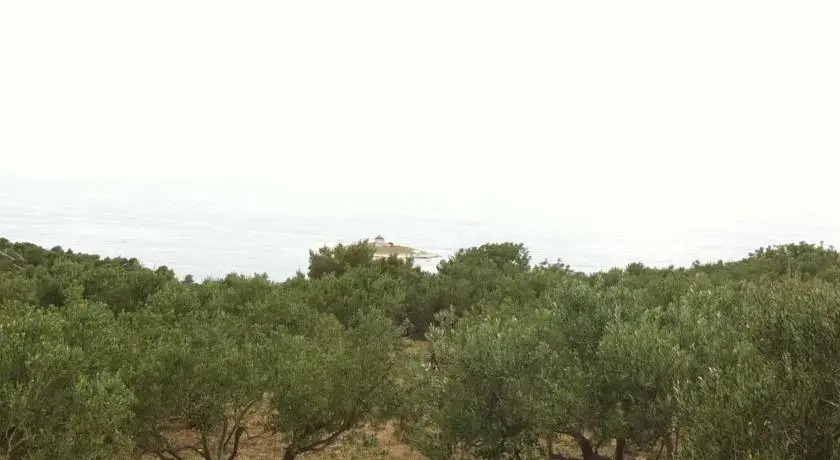 Camp Kopito