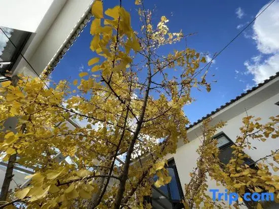 Minyue Xiaozhu Designer Garden B&B (Gongchen Tower Branch) in Weishan Ancient City