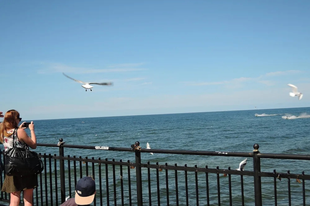 Apartment in Miedzyzdroje With Sea View