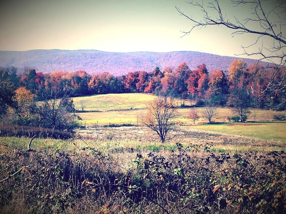 Cromwell Manor Inn
