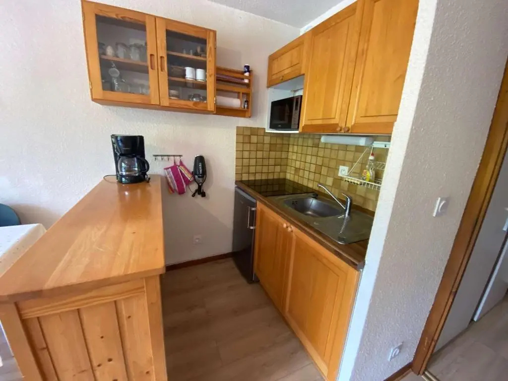 Appartement Le Grand-Bornand, 1 pièce, 4 personnes - FR-1-241-217
