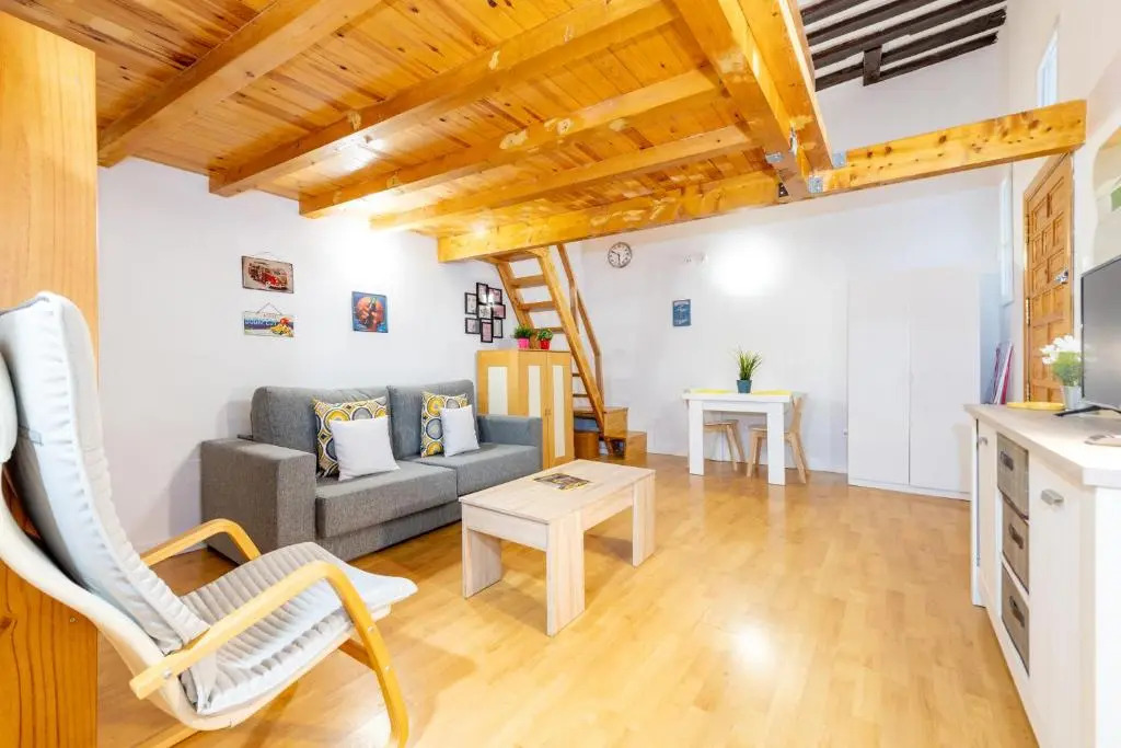 Duplex Lavapies 1BD