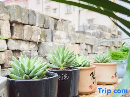 Zhaoqing Time Story Homestay (Seven Star Cave Archway)