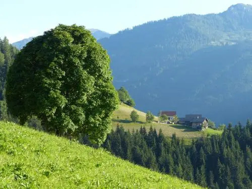 Appartement Andi