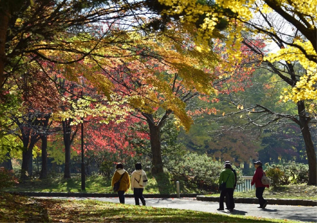 HOTEL MYSTAYS Sapporo Nakajima Park Annex