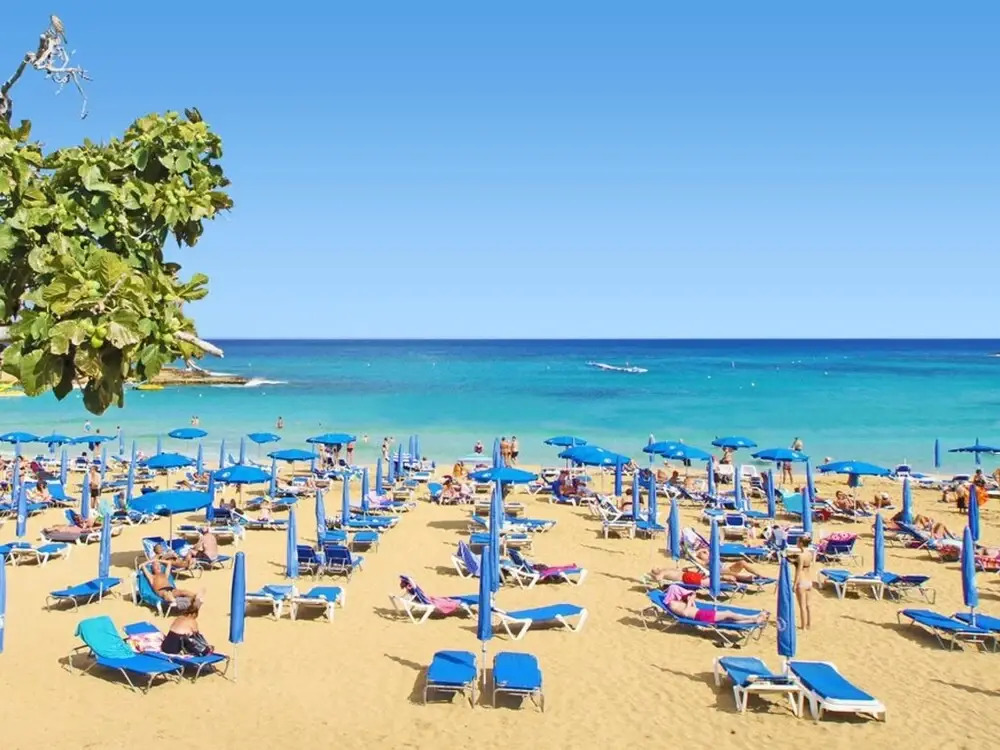 Paloma Paralimni in Paralimni