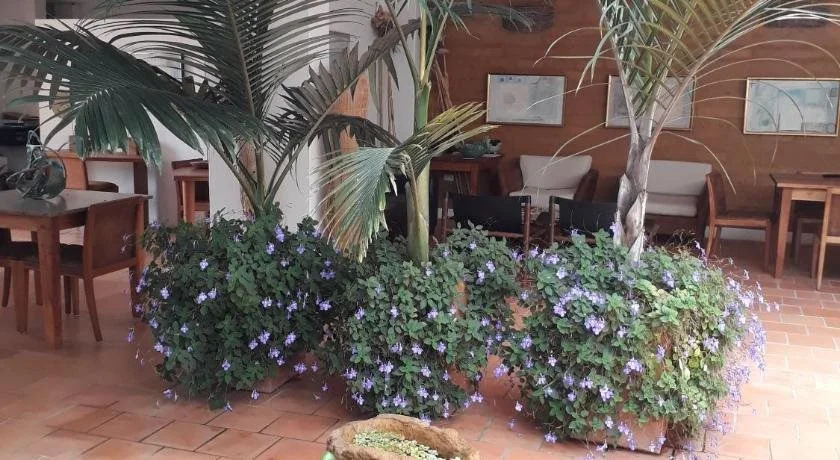 Hotel Alto Del Viento