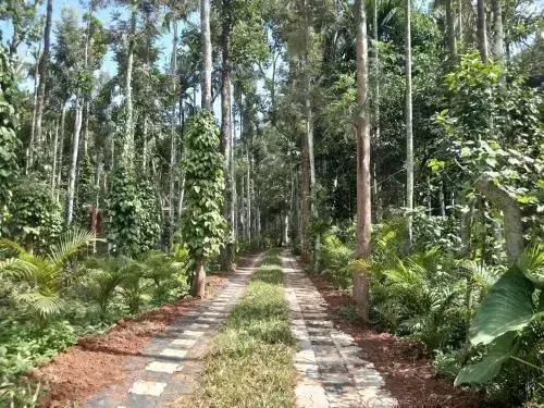 Wayanad Lux Inn