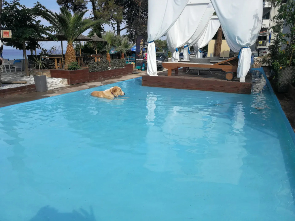 Beach Hotel Kapahi