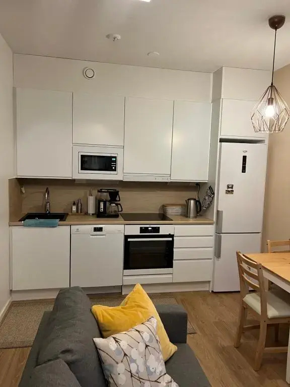 Cozy centre apartament Kuopio