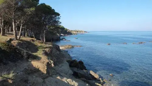 Cau de Creus