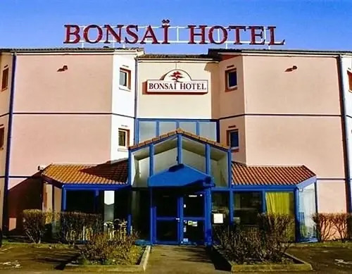 Bonsai Nancy
