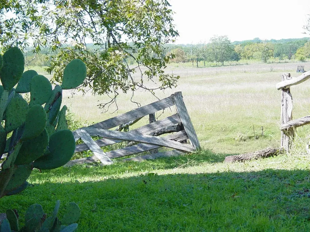 Back Forty of Fredericksburg