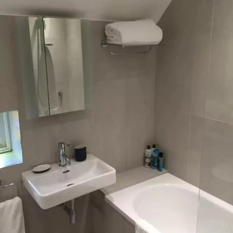 Studio Apartment In Putney