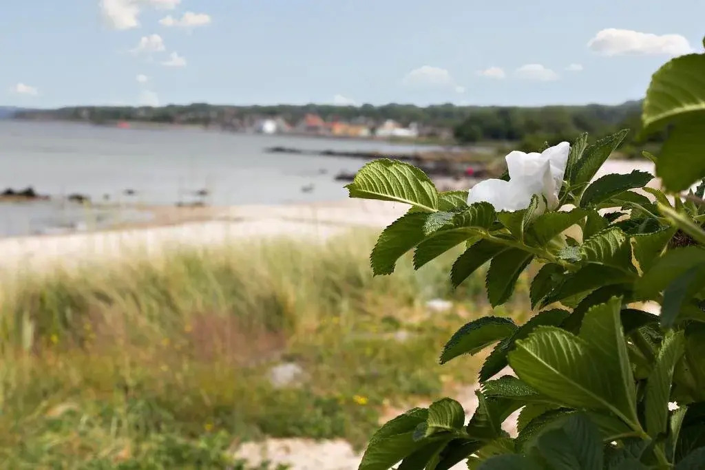 Sandkaas Badehotel