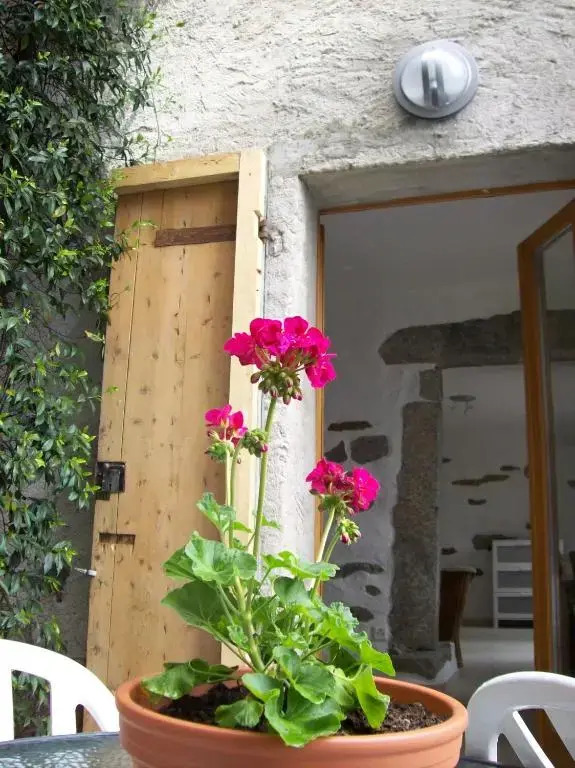 Apartment Banfi