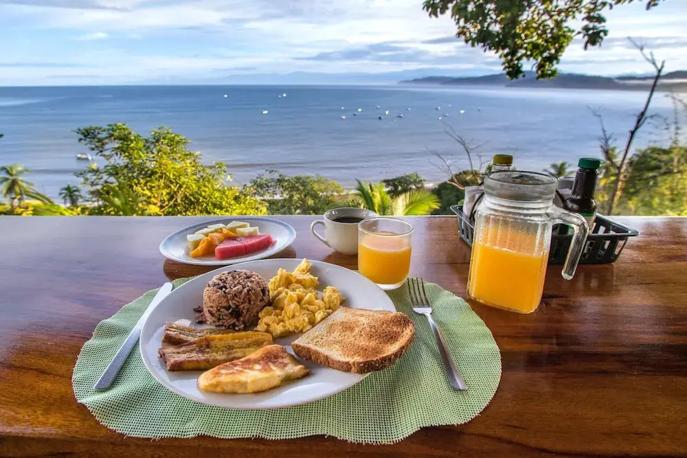 Cotingas Ocean View