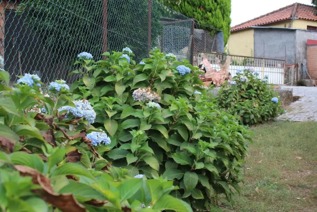 Quinta da Imaculada