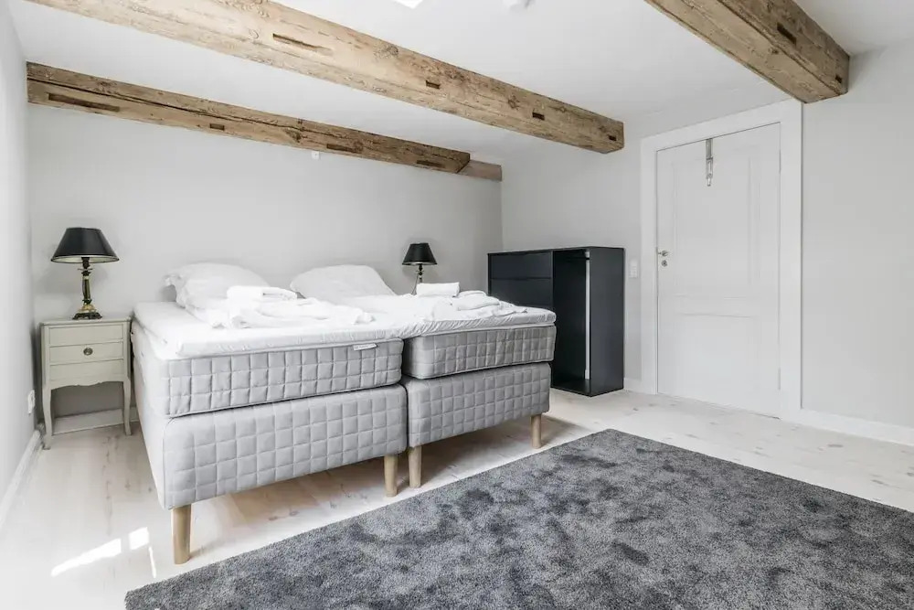 Grand Apartment in Copenhagen