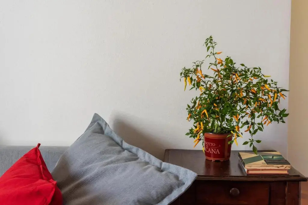 Renovated 19th-Century Apartment in an Authentic Area