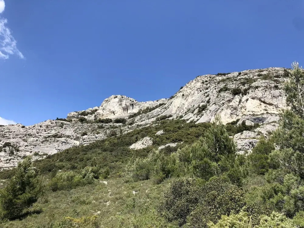 Les Acanthes Sud&Ouest
