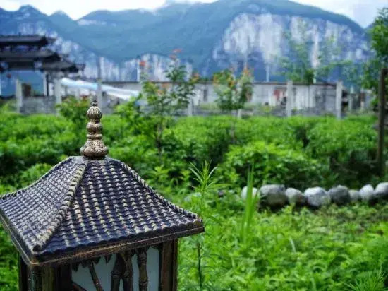 Selenium Tea Ecological Garden