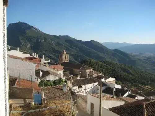 Apartamentos Saqura