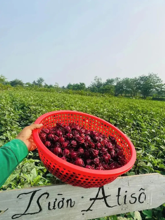 Thanh Chiem Village