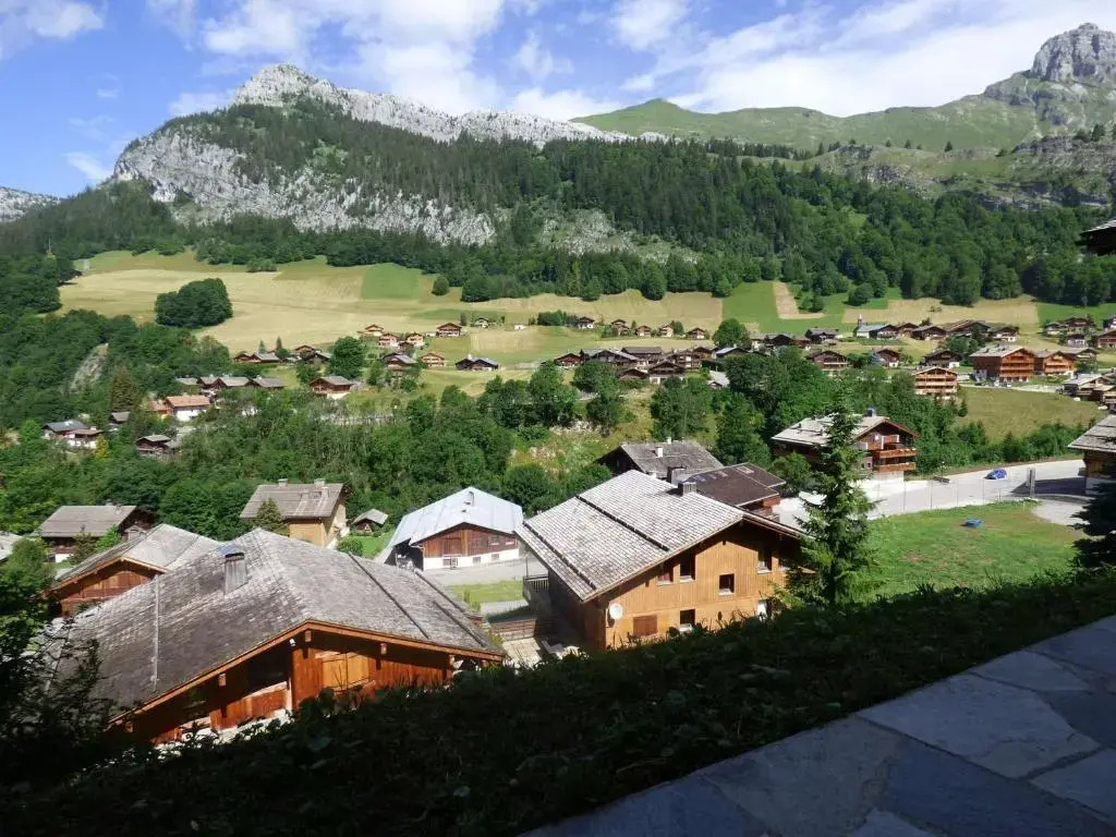 Studio Le Grand-Bornand, 1 pièce, 2 personnes - FR-1-458-153