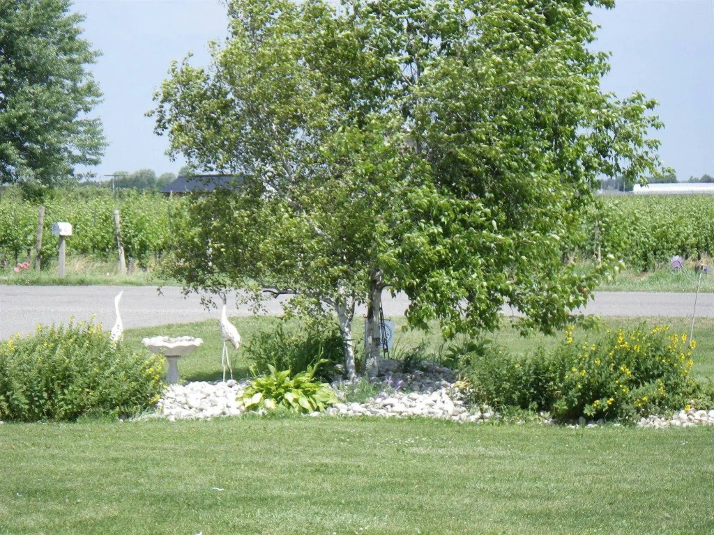 A Vineyard View B&B