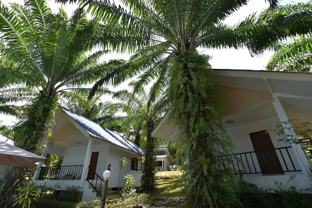 Groovy Bungalows