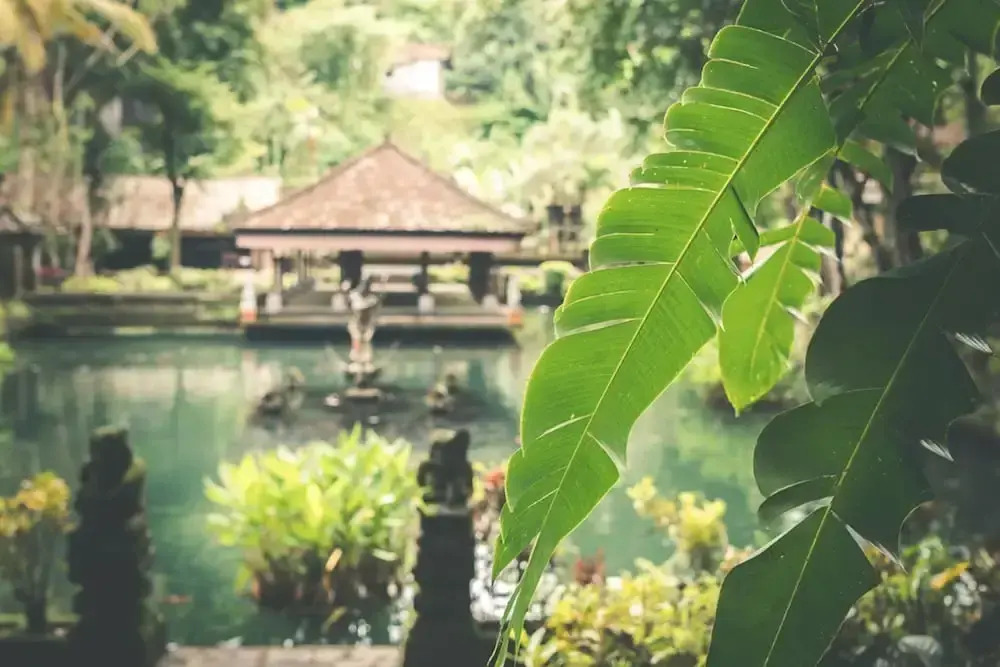 Luxury 12 Bedroom Villa With Private Pool, Bali Villa 2081