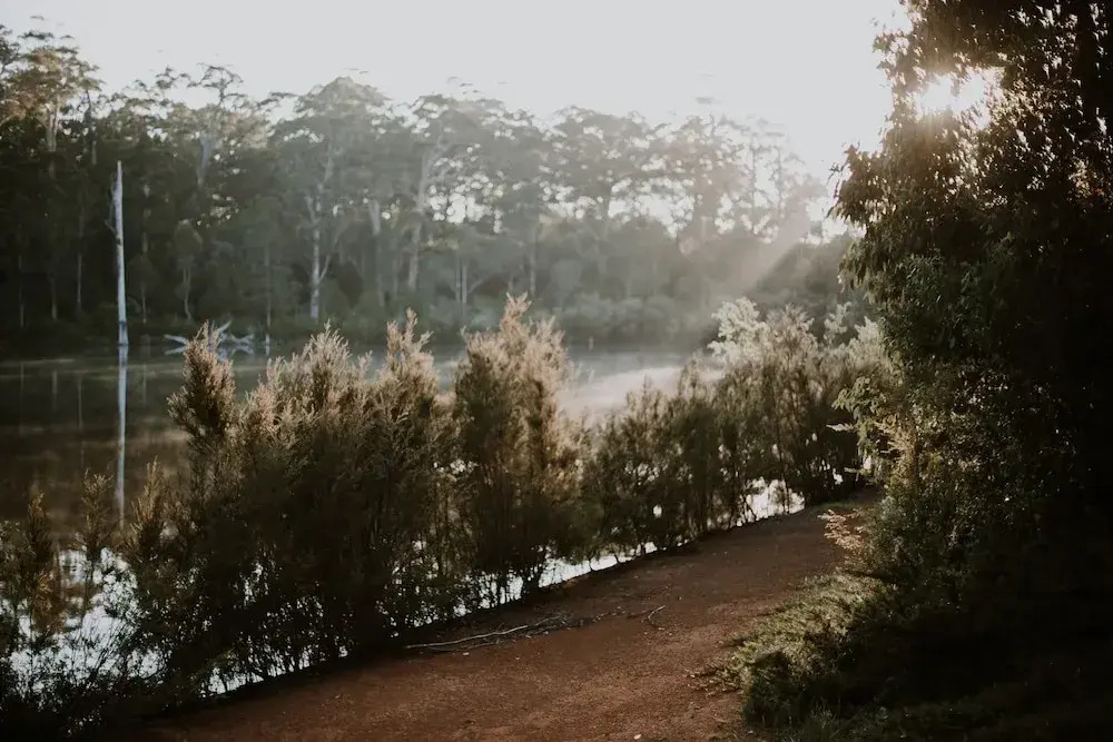 Silkwood Estate