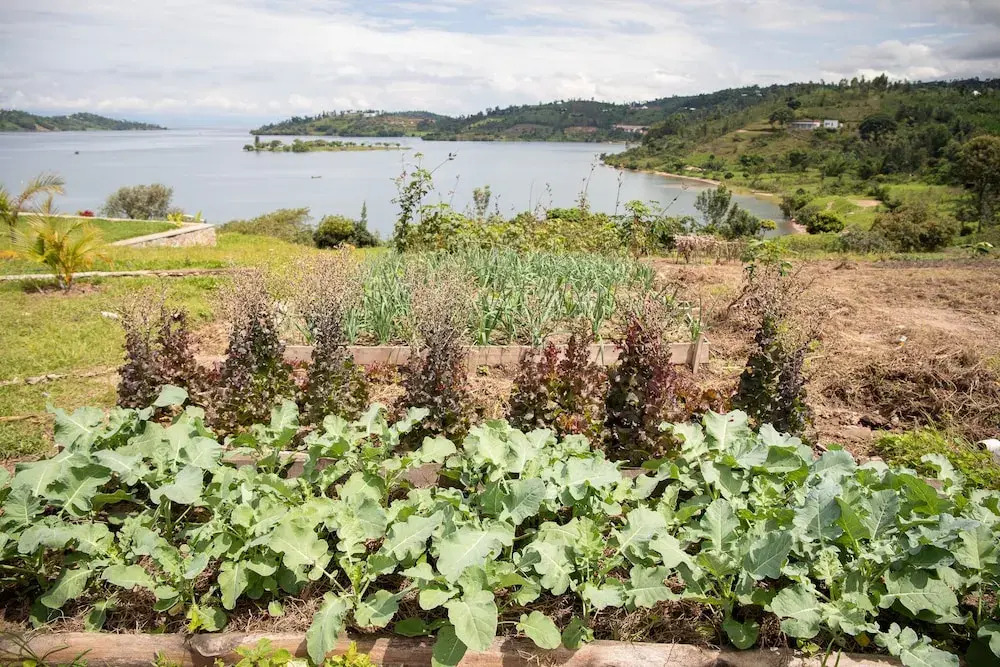 Kay Sun Hotel - lake kivu