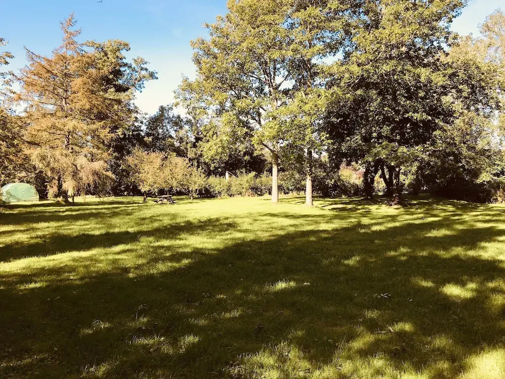 3 Bedroom Country Retreat - Dogs Welcome