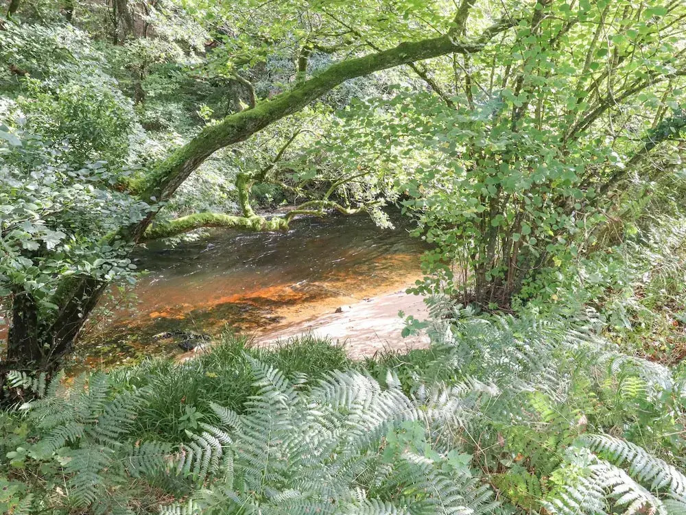 Teign River Retreat