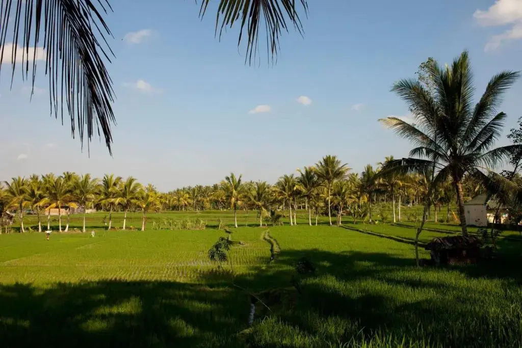 Puri Bebengan Bungalows