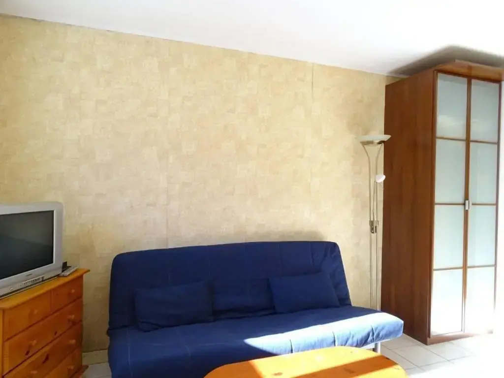 Studio Arette, 1 pièce, 4 personnes - FR-1-602-58