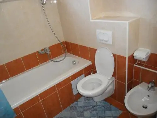 Vile Park Apartment