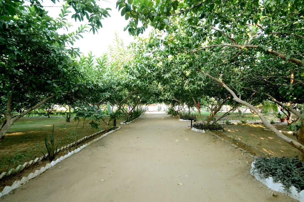Bagh Dera Camp