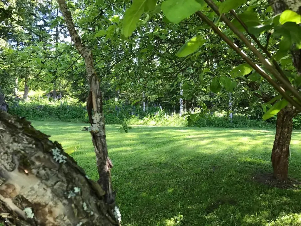 Helsingegården