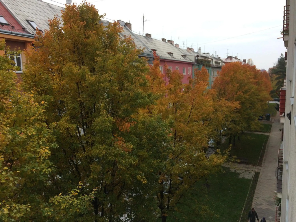 Apartman Olomouc