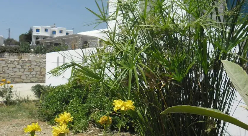 Studios Parian Blu