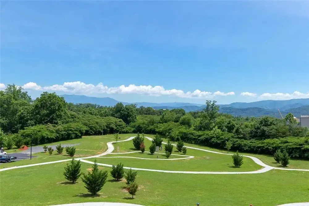 Brother Bear - Three Bedroom Condo