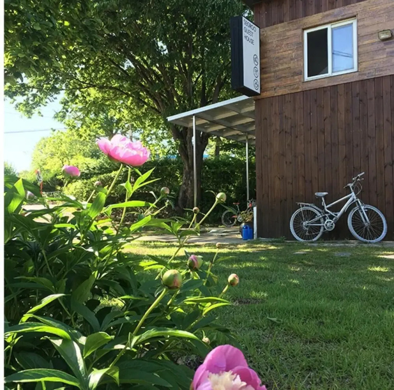 Segroo Guest House