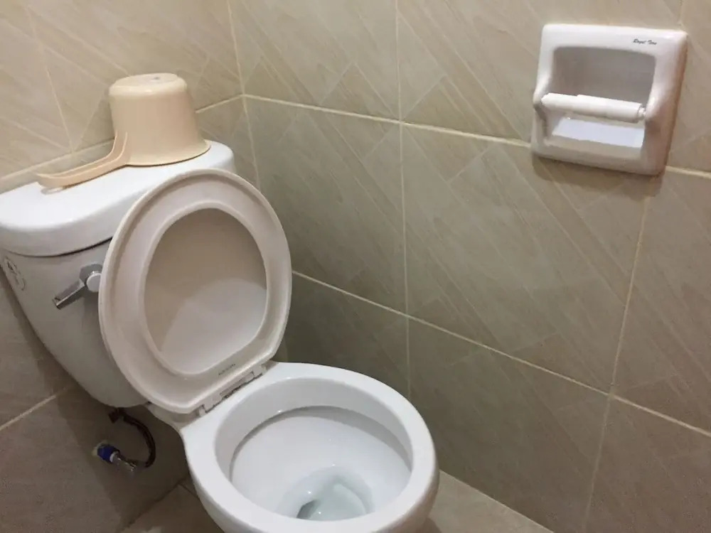 Rehm Rooms For Rent