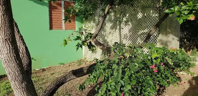 The Greenside Cottages - Private Tropical Garden - Residential area 5 mins from the beach