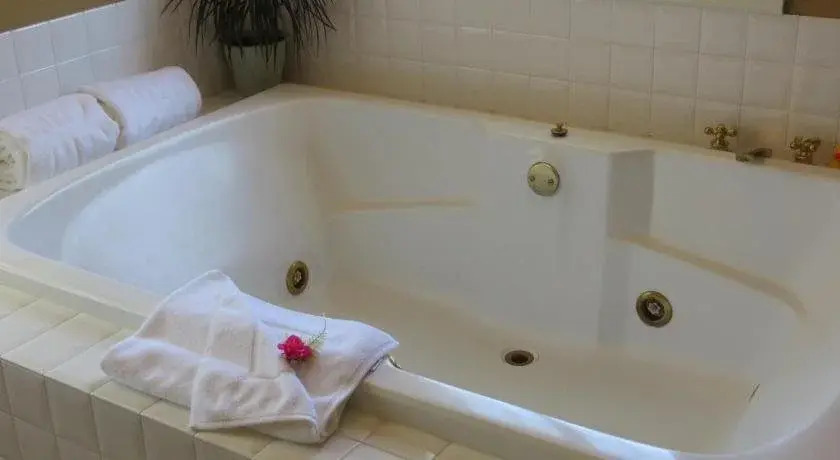 Arbor Guest House