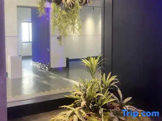 Yicheng Center Light Residence Hotel, Shenzhen North Railway Station