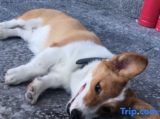 MR.6 sea view Inn